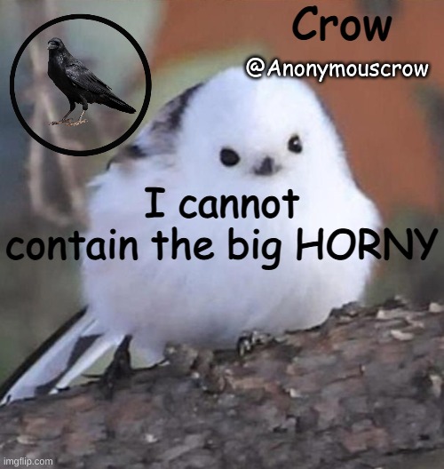 Anonymouscrow announce | I cannot contain the big HORNY | image tagged in anonymouscrow announce | made w/ Imgflip meme maker