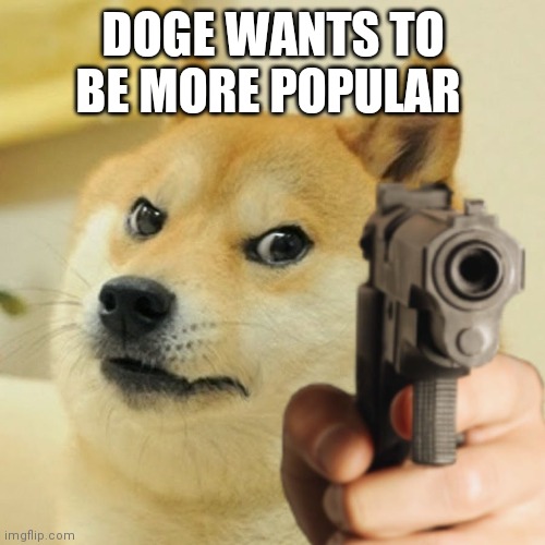 Doge holding a gun | DOGE WANTS TO BE MORE POPULAR | image tagged in doge holding a gun | made w/ Imgflip meme maker