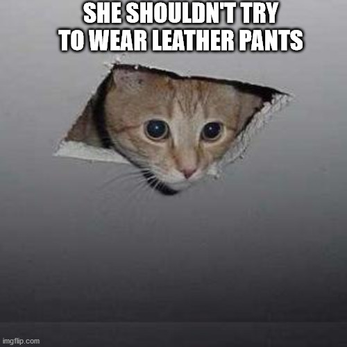 Ceiling Cat | SHE SHOULDN'T TRY TO WEAR LEATHER PANTS | image tagged in memes,ceiling cat | made w/ Imgflip meme maker