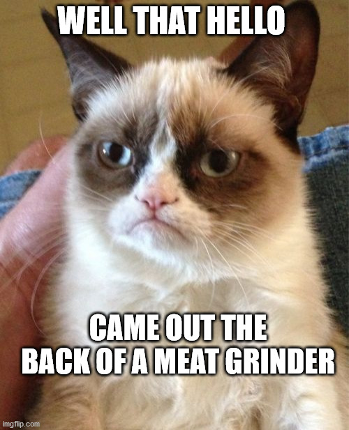 Grumpy Cat | WELL THAT HELLO; CAME OUT THE BACK OF A MEAT GRINDER | image tagged in memes,grumpy cat | made w/ Imgflip meme maker