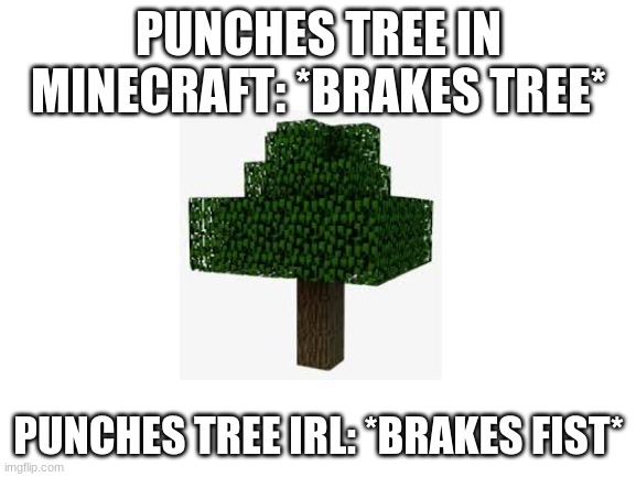 ... | PUNCHES TREE IN MINECRAFT: *BRAKES TREE*; PUNCHES TREE IRL: *BRAKES FIST* | image tagged in blank white template | made w/ Imgflip meme maker