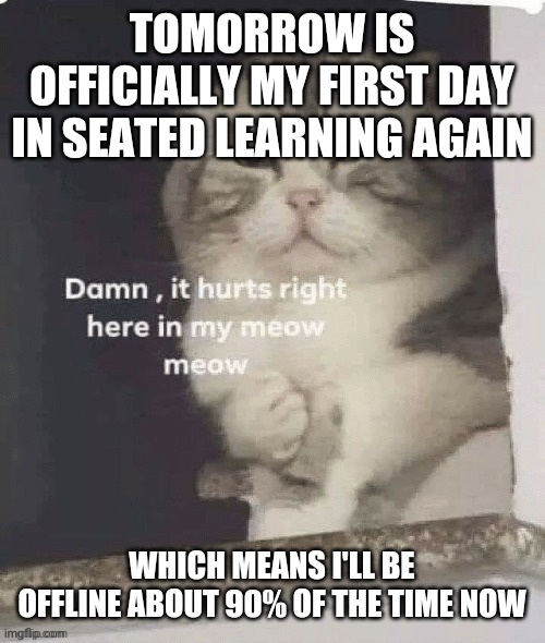 TOMORROW IS OFFICIALLY MY FIRST DAY IN SEATED LEARNING AGAIN; WHICH MEANS I'LL BE OFFLINE ABOUT 90% OF THE TIME NOW | made w/ Imgflip meme maker