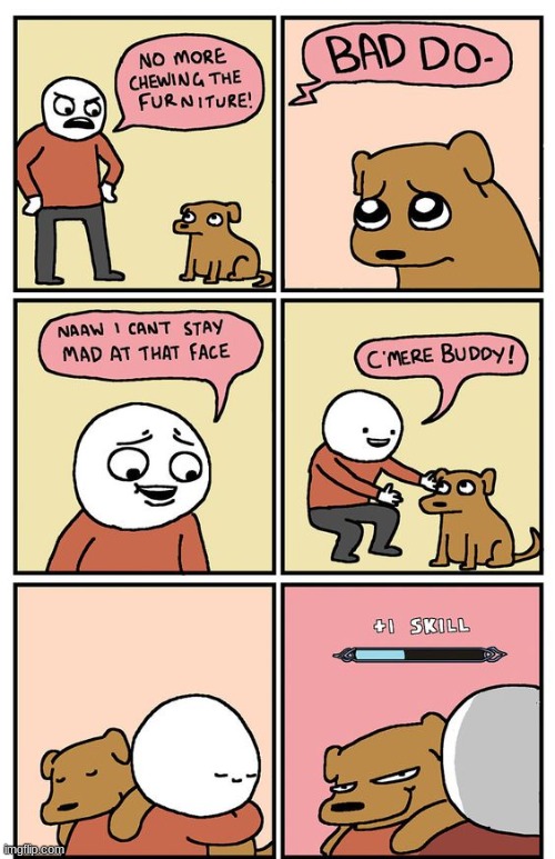 Only the dog knows the tricks... | image tagged in funny,comics,lol so funny | made w/ Imgflip meme maker