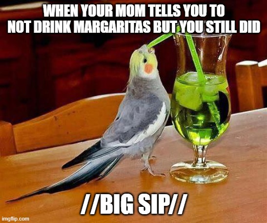 Big Sip | WHEN YOUR MOM TELLS YOU TO NOT DRINK MARGARITAS BUT YOU STILL DID; //BIG SIP// | image tagged in big sip | made w/ Imgflip meme maker