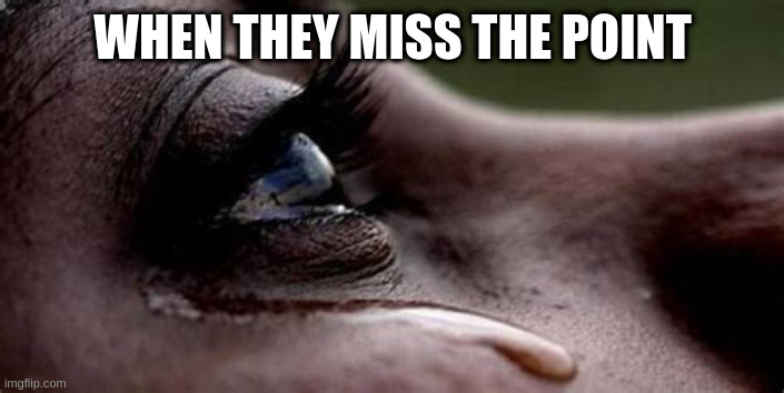 Republican tears | WHEN THEY MISS THE POINT | image tagged in republican tears | made w/ Imgflip meme maker