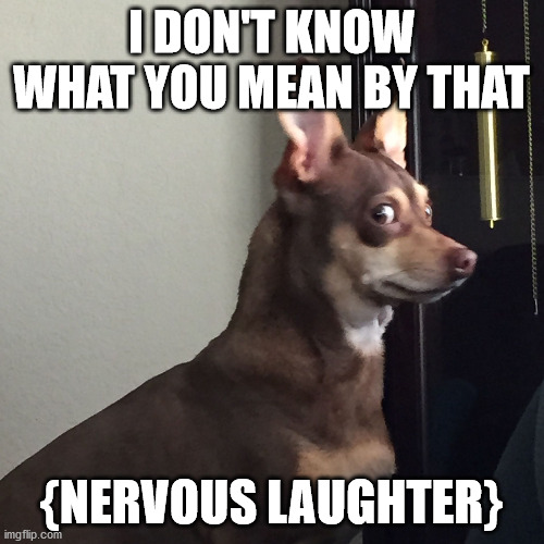 Guilty Dog | I DON'T KNOW WHAT YOU MEAN BY THAT {NERVOUS LAUGHTER} | image tagged in guilty dog | made w/ Imgflip meme maker