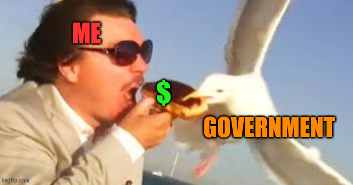 swiping seagull | ME $ GOVERNMENT | image tagged in swiping seagull | made w/ Imgflip meme maker