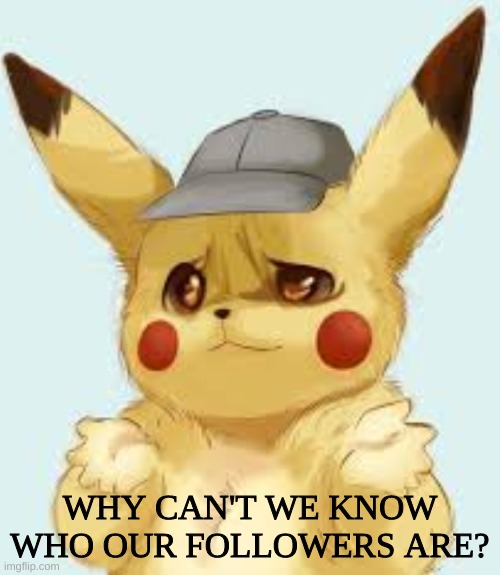 It would be especially helpful in that I would know who I can and cannot message. | WHY CAN'T WE KNOW WHO OUR FOLLOWERS ARE? | image tagged in pikachu shrug,imgflip,ideas,meme ideas | made w/ Imgflip meme maker