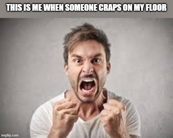 When Someone Craps On My Floor | THIS IS ME WHEN SOMEONE CRAPS ON MY FLOOR | image tagged in this is me,craps,taking a shit,funny,wtf,meme | made w/ Imgflip meme maker