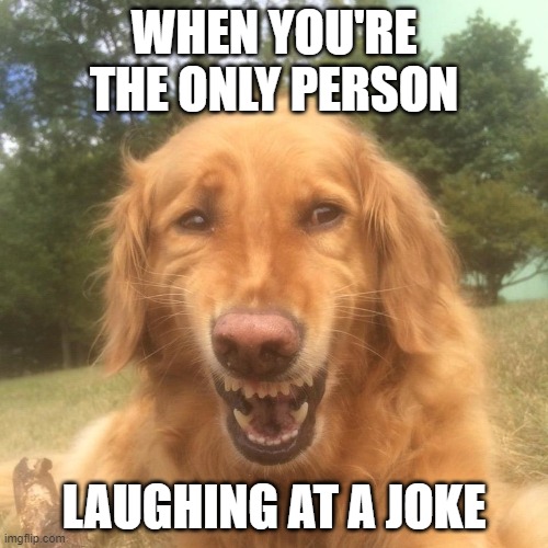 Awkward laugh dog | WHEN YOU'RE THE ONLY PERSON; LAUGHING AT A JOKE | image tagged in awkward laugh dog | made w/ Imgflip meme maker