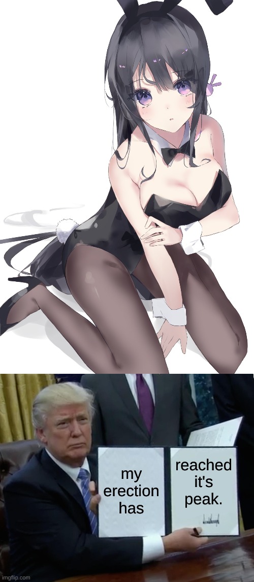 catboys pls comment pls | my erection has; reached it's peak. | image tagged in memes,trump bill signing | made w/ Imgflip meme maker