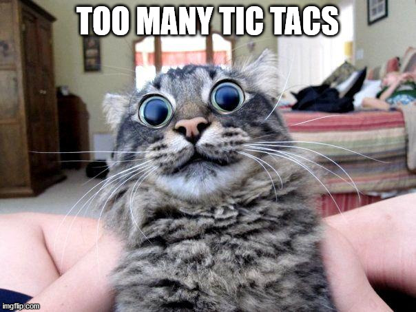 lsd cat | TOO MANY TIC TACS | image tagged in lsd cat | made w/ Imgflip meme maker