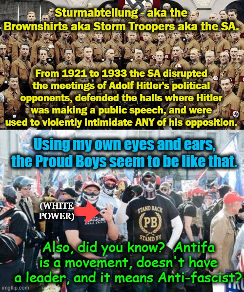 If the shoe fits (they will likely be in the news tomorrow) | Sturmabteilung - aka the Brownshirts aka Storm Troopers aka the SA. From 1921 to 1933 the SA disrupted the meetings of Adolf Hitler's political opponents, defended the halls where Hitler was making a public speech, and were used to violently intimidate ANY of his opposition. Using my own eyes and ears, the Proud Boys seem to be like that. (WHITE POWER); Also, did you know?  Antifa is a movement, doesn't have a leader, and it means Anti-fascist? | image tagged in donald trump approves,proud,stormtroopers | made w/ Imgflip meme maker