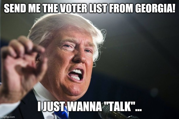 donald trump | SEND ME THE VOTER LIST FROM GEORGIA! I JUST WANNA "TALK"... | image tagged in donald trump | made w/ Imgflip meme maker
