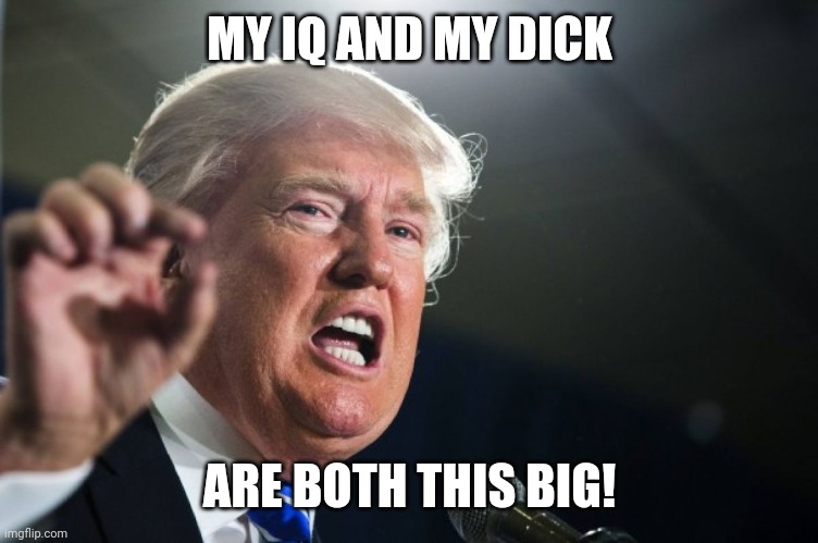 donald trump | MY IQ AND MY DICK; ARE BOTH THIS BIG! | image tagged in donald trump | made w/ Imgflip meme maker