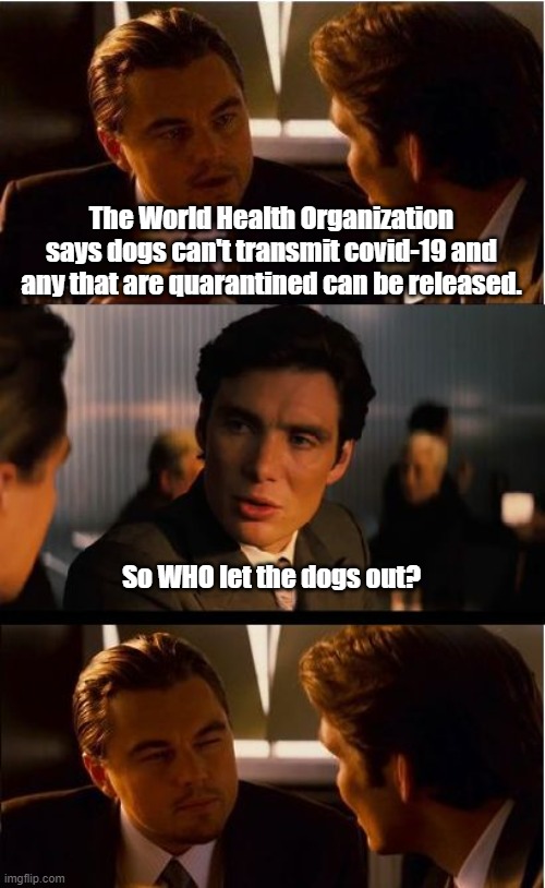 Inception | The World Health Organization says dogs can't transmit covid-19 and any that are quarantined can be released. So WHO let the dogs out? | image tagged in memes,inception,covid-19,dogs,songs,bad jokes | made w/ Imgflip meme maker