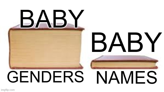 Big book small book | BABY; BABY; NAMES; GENDERS | image tagged in big book small book | made w/ Imgflip meme maker
