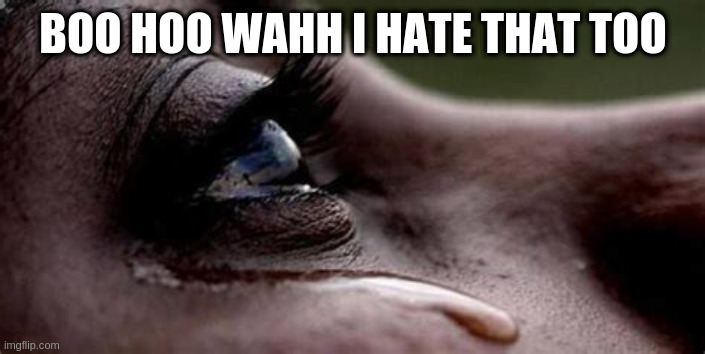 Republican tears | BOO HOO WAHH I HATE THAT TOO | image tagged in republican tears | made w/ Imgflip meme maker