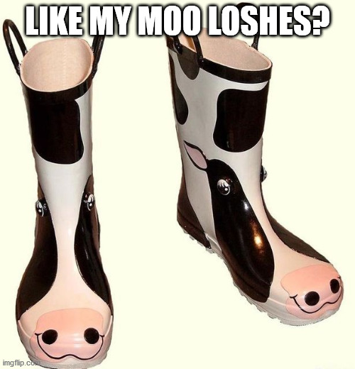 Galoshes | LIKE MY MOO LOSHES? | image tagged in eye roll | made w/ Imgflip meme maker