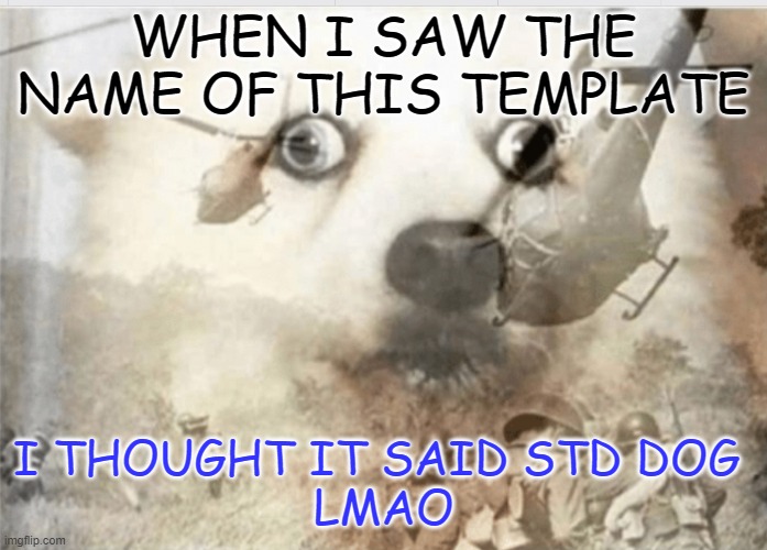 PTSD dog | WHEN I SAW THE NAME OF THIS TEMPLATE; I THOUGHT IT SAID STD DOG 
LMAO | image tagged in ptsd dog | made w/ Imgflip meme maker