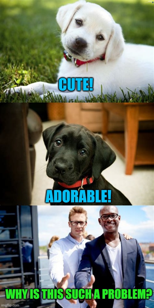 Really, America? | CUTE! ADORABLE! WHY IS THIS SUCH A PROBLEM? | image tagged in memes,politics,race | made w/ Imgflip meme maker