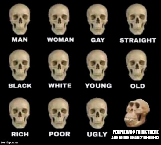 idiot skull | PEOPLE WHO THINK THERE ARE MORE THAN 2 GENDERS | image tagged in idiot skull | made w/ Imgflip meme maker