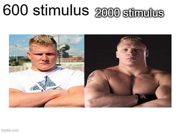 WWE Brock leanser | 2000 stimulus; 600 stimulus | image tagged in wwe brock lesnar | made w/ Imgflip meme maker