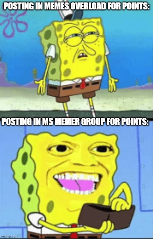 idk bout you but its true fo me | POSTING IN MEMES OVERLOAD FOR POINTS:; POSTING IN MS MEMER GROUP FOR POINTS: | image tagged in spongebob money | made w/ Imgflip meme maker
