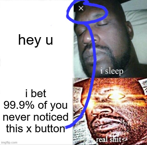 have you? | hey u; i bet 99.9% of you never noticed this x button | image tagged in memes,sleeping shaq | made w/ Imgflip meme maker