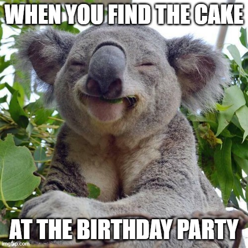 Smiling Koala | WHEN YOU FIND THE CAKE; AT THE BIRTHDAY PARTY | image tagged in smiling koala | made w/ Imgflip meme maker