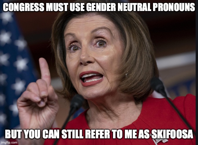 Pelosi | CONGRESS MUST USE GENDER NEUTRAL PRONOUNS; BUT YOU CAN STILL REFER TO ME AS SKIFOOSA | image tagged in congress | made w/ Imgflip meme maker