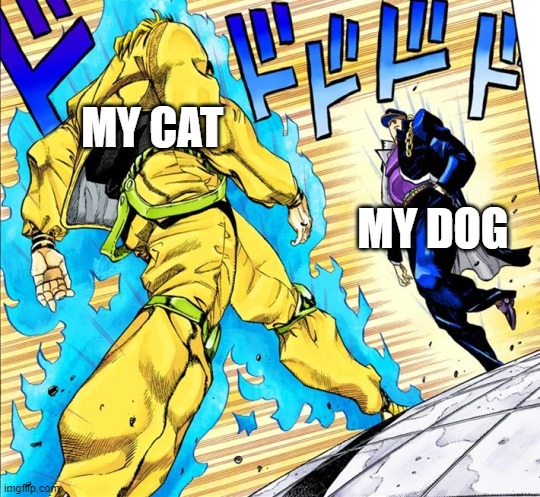 Me when I go to work. | MY CAT; MY DOG | image tagged in jojo's walk | made w/ Imgflip meme maker