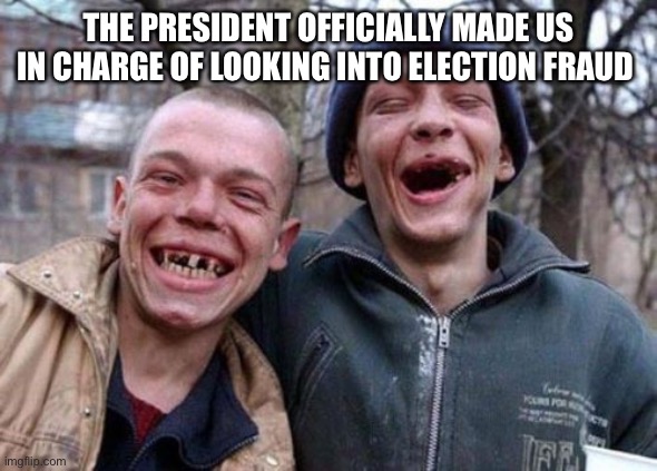 Ugly Twins Meme | THE PRESIDENT OFFICIALLY MADE US IN CHARGE OF LOOKING INTO ELECTION FRAUD | image tagged in memes,ugly twins | made w/ Imgflip meme maker