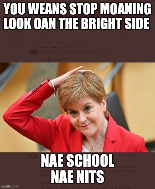 Nippynitpicker | YOU WEANS STOP MOANING
LOOK OAN THE BRIGHT SIDE; NAE SCHOOL
NAE NITS | image tagged in pie charts | made w/ Imgflip meme maker