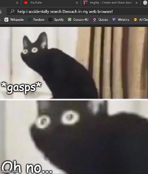 Did I search that dude in my web? | *gasps*; Oh no... | image tagged in oh no black cat,memes | made w/ Imgflip meme maker