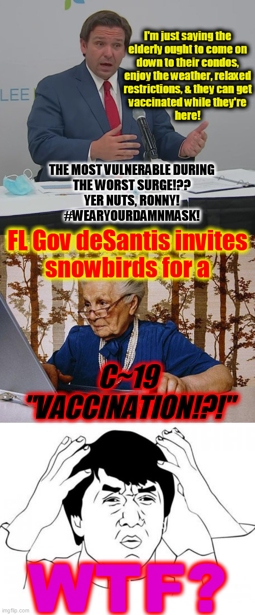 C19. Vaccine. Nation. FL. Snowbird. Vacation. | I'm just saying the
elderly ought to come on
down to their condos,
enjoy the weather, relaxed
restrictions, & they can get
vaccinated while they're
here! THE MOST VULNERABLE DURING
THE WORST SURGE!??
YER NUTS, RONNY!
#WEARYOURDAMNMASK! FL Gov deSantis invites
snowbirds for a; C~19
"VACCINATION!?!"; WTF? | image tagged in old woman at pc,jackie chan wtf,say goodbye granny,covid 19,viral surge,vaccinate or die | made w/ Imgflip meme maker