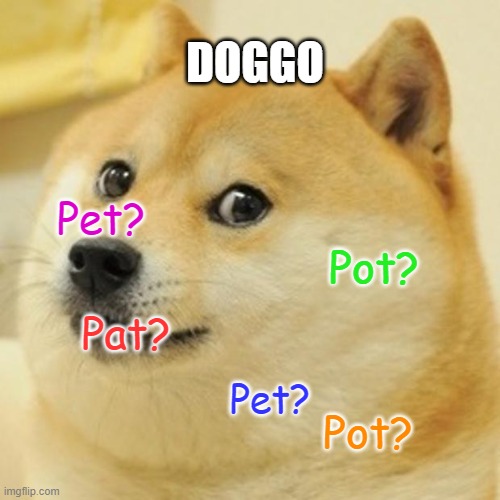 Doggo in Undertale | DOGGO; Pet? Pot? Pat? Pet? Pot? | image tagged in memes,doge | made w/ Imgflip meme maker