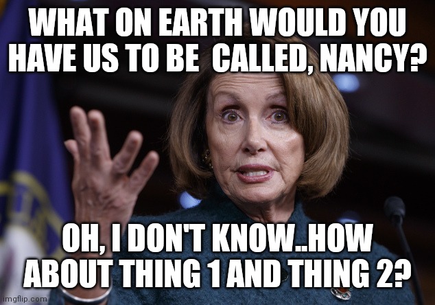 Gender Terminology | WHAT ON EARTH WOULD YOU HAVE US TO BE  CALLED, NANCY? OH, I DON'T KNOW..HOW ABOUT THING 1 AND THING 2? | image tagged in good old nancy pelosi | made w/ Imgflip meme maker