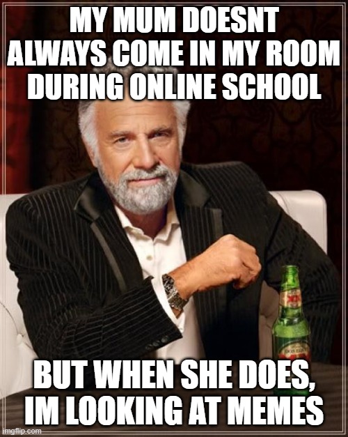 The Most Interesting Man In The World | MY MUM DOESNT ALWAYS COME IN MY ROOM DURING ONLINE SCHOOL; BUT WHEN SHE DOES, IM LOOKING AT MEMES | image tagged in memes,the most interesting man in the world | made w/ Imgflip meme maker