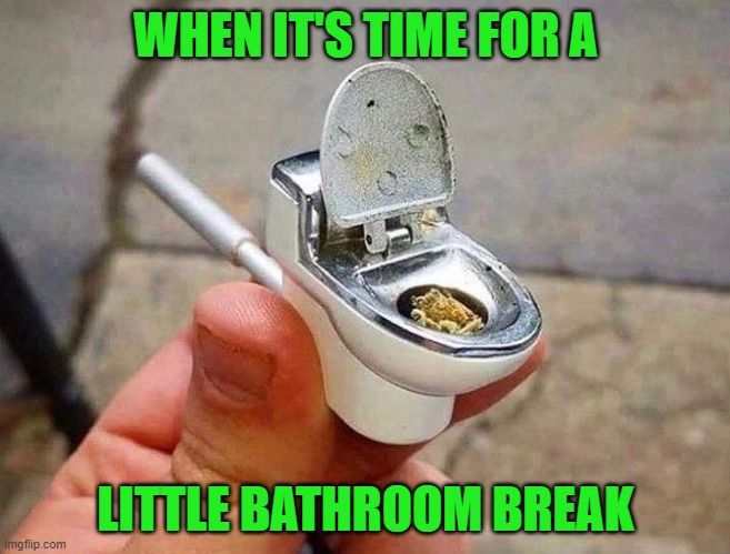 When you're really on the pot... | WHEN IT'S TIME FOR A; LITTLE BATHROOM BREAK | image tagged in bathroom break,meme,potty,potty humor | made w/ Imgflip meme maker