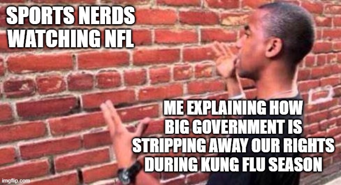 Brick Wall | SPORTS NERDS WATCHING NFL ME EXPLAINING HOW BIG GOVERNMENT IS STRIPPING AWAY OUR RIGHTS DURING KUNG FLU SEASON | image tagged in brick wall | made w/ Imgflip meme maker