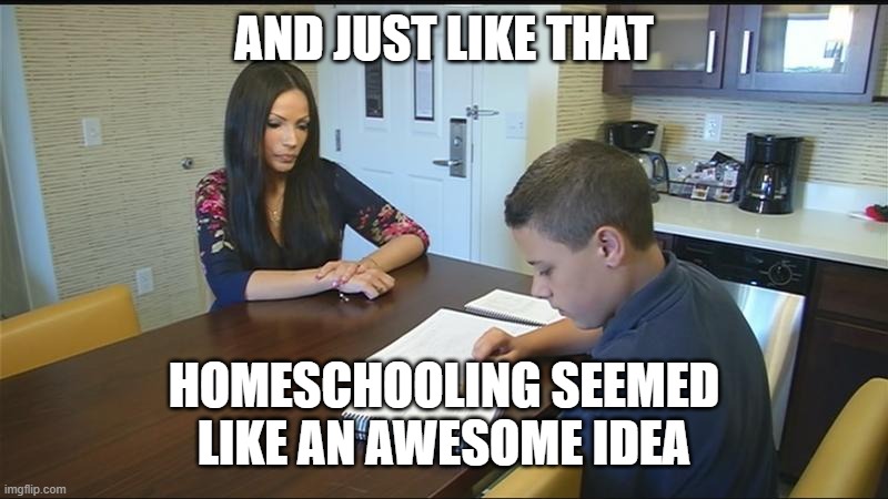 Homeschool In America | AND JUST LIKE THAT HOMESCHOOLING SEEMED LIKE AN AWESOME IDEA | image tagged in homeschool in america | made w/ Imgflip meme maker