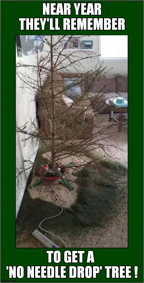 Needless Needles ! | NEAR YEAR THEY'LL REMEMBER; TO GET A; 'NO NEEDLE DROP' TREE ! | image tagged in fun,christmas tree,frontpage | made w/ Imgflip meme maker