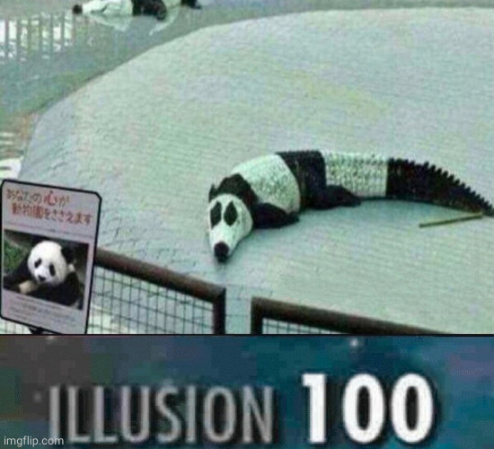 What the hell.... | image tagged in panda,crocodile,illusion 100,black and white | made w/ Imgflip meme maker