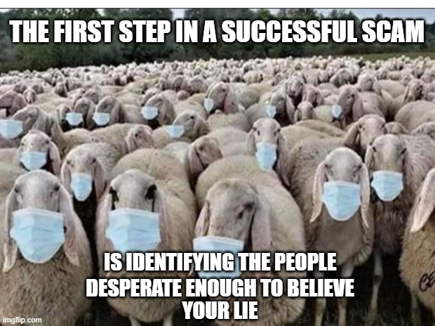 Desperate people | THE FIRST STEP IN A SUCCESSFUL SCAM; IS IDENTIFYING THE PEOPLE; DESPERATE ENOUGH TO BELIEVE; YOUR LIE | image tagged in sheep masks | made w/ Imgflip meme maker