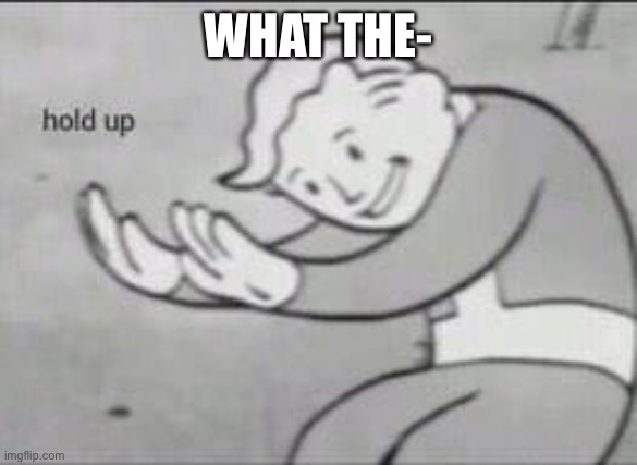 Wat | WHAT THE- | image tagged in fallout hold up | made w/ Imgflip meme maker