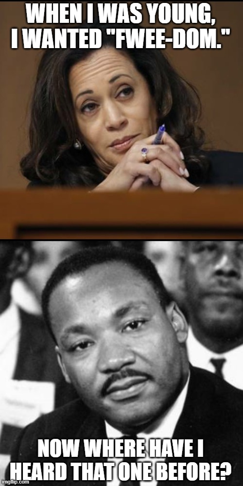 Harris plagiarizes like a boss. Or at least hers. | WHEN I WAS YOUNG, I WANTED "FWEE-DOM."; NOW WHERE HAVE I HEARD THAT ONE BEFORE? | image tagged in kamala harris,plagiarism,disappointed mlk,freedom | made w/ Imgflip meme maker