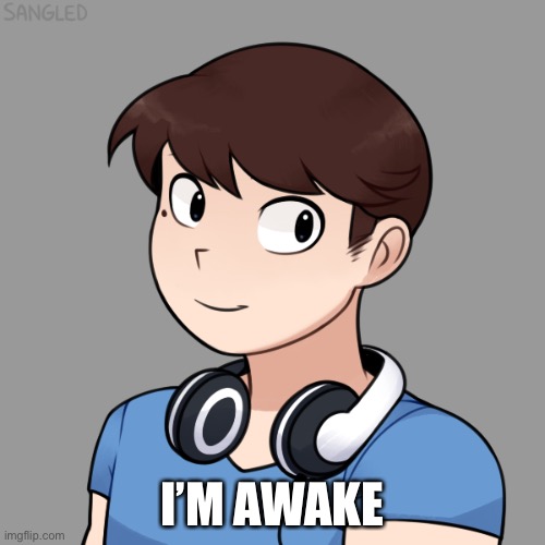 I’M AWAKE | image tagged in darmug's picrew | made w/ Imgflip meme maker