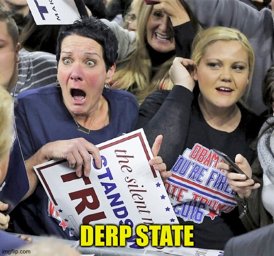 deep state?  or... | DERP STATE | image tagged in trump supporters | made w/ Imgflip meme maker