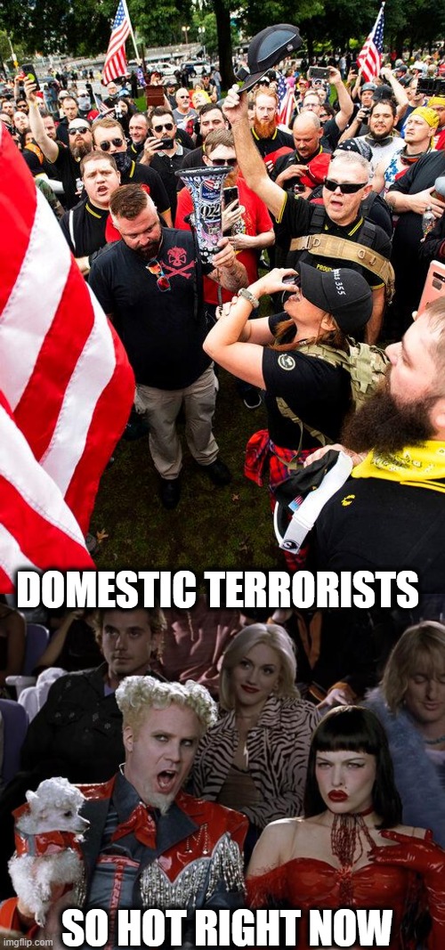 Domestic Terrorism Defined | DOMESTIC TERRORISTS; SO HOT RIGHT NOW | image tagged in memes,mugatu so hot right now,politics,kkk,maga,lock him up | made w/ Imgflip meme maker
